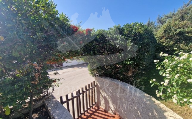 64 Ingresso 64 Ingresso