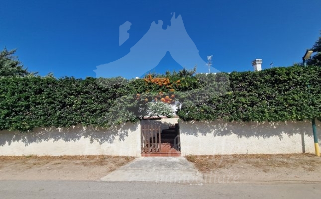 65 Ingresso 65 Ingresso