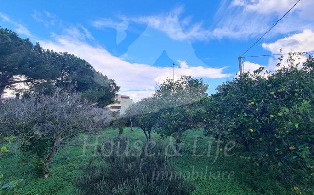 36 Giardino 36 Giardino