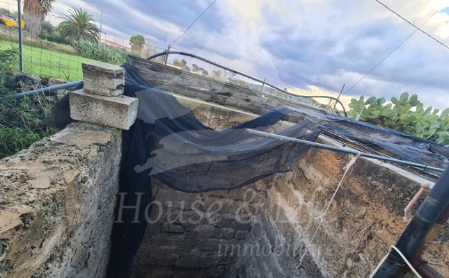 37 Cantine 37 Cantine