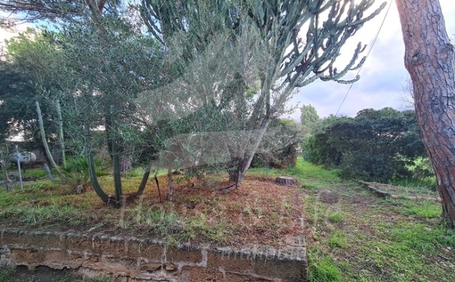 3 Giardino 3 Giardino