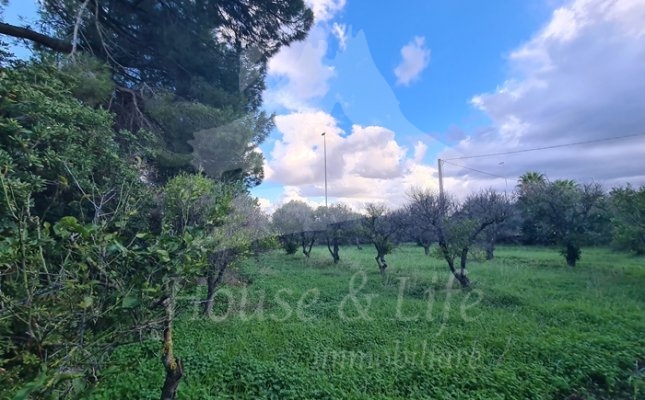 4 Giardino 4 Giardino