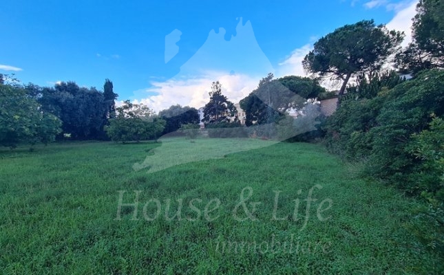 5 Giardino 5 Giardino